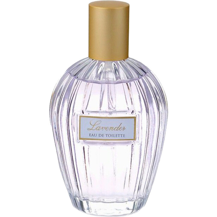 Floral Collection - Lavender